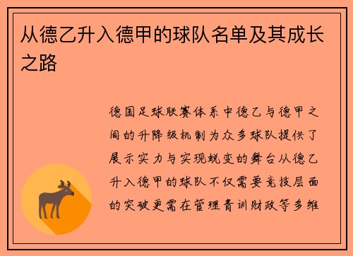 从德乙升入德甲的球队名单及其成长之路