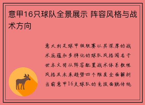 意甲16只球队全景展示 阵容风格与战术方向
